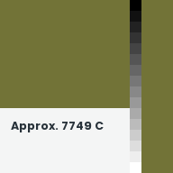 Color chip: Approx. 7749 C