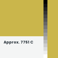 Color chip: Approx. 7751 C