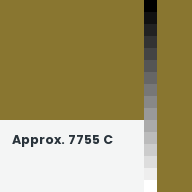 Color chip: Approx. 7755 C