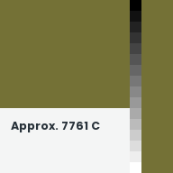 Color chip: Approx. 7761 C