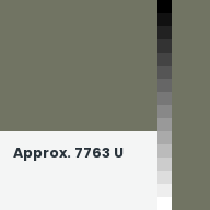 Color chip: Approx. 7763 U