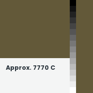 Color chip: Approx. 7770 C