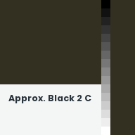 Color chip: Approx. Black 2 C