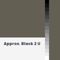 Color chip: Approx. Black 2 U
