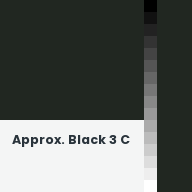 Color chip: Approx. Black 3 C