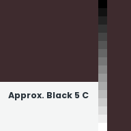 Color chip: Approx. Black 5 C