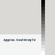 Color chip: Approx. Cool Gray 1 U