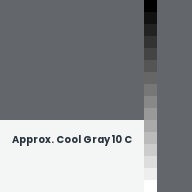Color chip: Approx. Cool Gray 10 C
