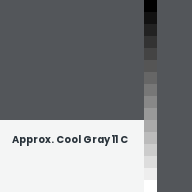 Color chip: Approx. Cool Gray 11 C