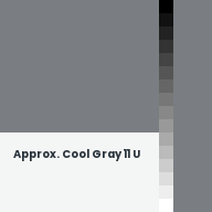Color chip: Approx. Cool Gray 11 U