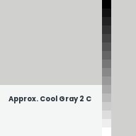 Color chip: Approx. Cool Gray 2 C