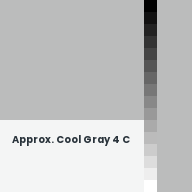 Color chip: Approx. Cool Gray 4 C