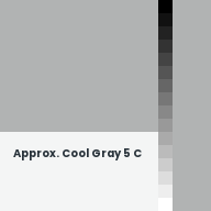 Color chip: Approx. Cool Gray 5 C
