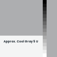 Color chip: Approx. Cool Gray 5 U