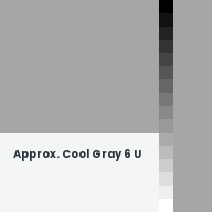 Color chip: Approx. Cool Gray 6 U