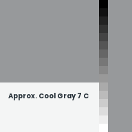 Color chip: Approx. Cool Gray 7 C
