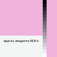 Color chip: Approx. Magenta 0521 C