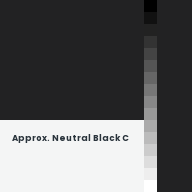 Color chip: Approx. Neutral Black C
