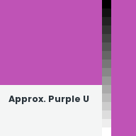 Color chip: Approx. Purple U