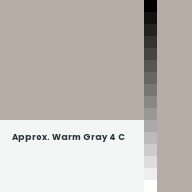 Color chip: Approx. Warm Gray 4 C