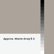 Color chip: Approx. Warm Gray 5 C