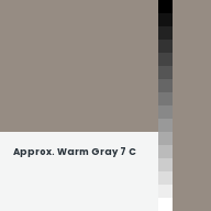 Color chip: Approx. Warm Gray 7 C