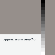 Color chip: Approx. Warm Gray 7 U