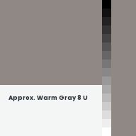 Color chip: Approx. Warm Gray 8 U