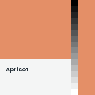 Color chip: Apricot