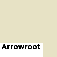 Color chip: Arrowroot