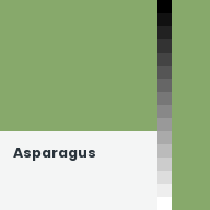 Color chip: Asparagus