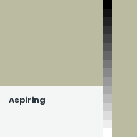Color chip: Aspiring