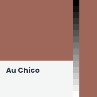 Color chip: Au Chico