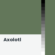 Color chip: Axolotl