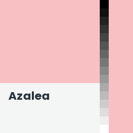 Color chip: Azalea