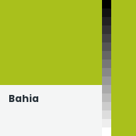 Color chip: Bahia