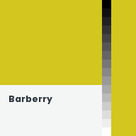 Color chip: Barberry
