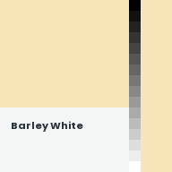 Color chip: Barley White