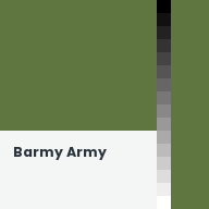 Color chip: Barmy Army