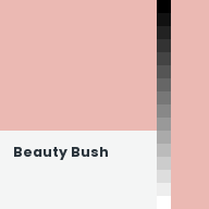 Color chip: Beauty Bush