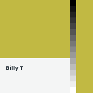 Color chip: Billy T