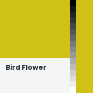 Color chip: Bird Flower