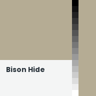 Color chip: Bison Hide