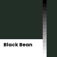 Color chip: Black Bean
