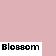 Color chip: Blossom