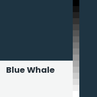 Color chip: Blue Whale