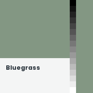 Color chip: Bluegrass