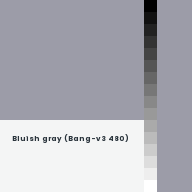 Color chip: Bluish gray (Bang-v3 480)