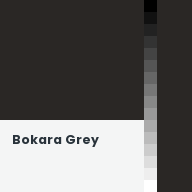 Color chip: Bokara Grey