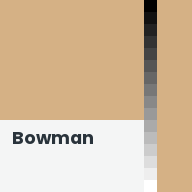 Color chip: Bowman